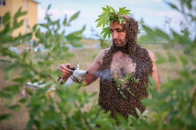 What Is Going On Here? (51 pics)