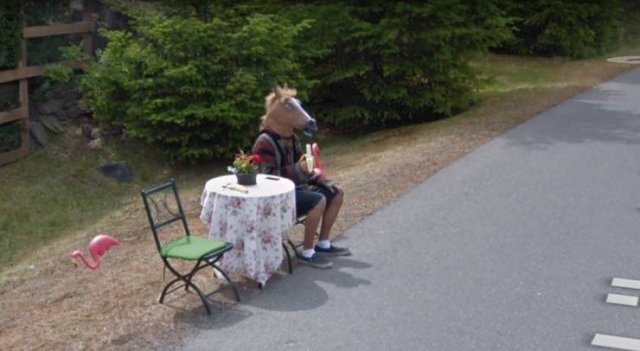 What Is Going On Here? (51 pics)