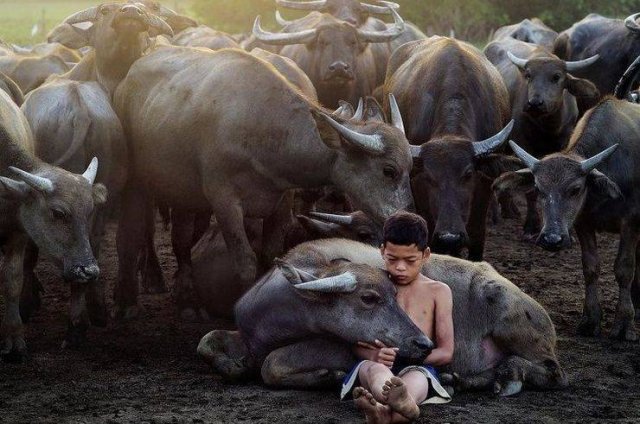 Perfect Photos From Around The World (53 pics)