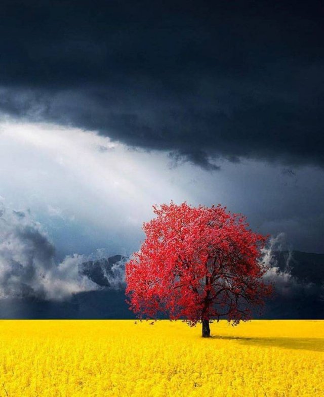 Perfect Photos From Around The World (53 pics)