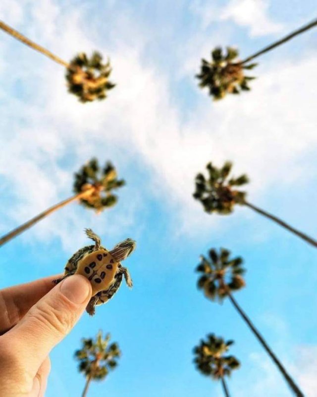 Perfect Photos From Around The World (53 pics)