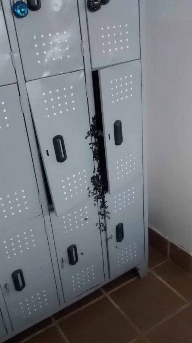 What Is Going On Here? (51 pics)