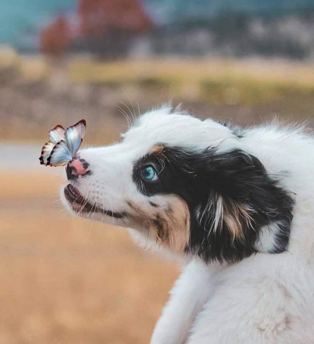 Perfect Photos From Around The World (53 pics)