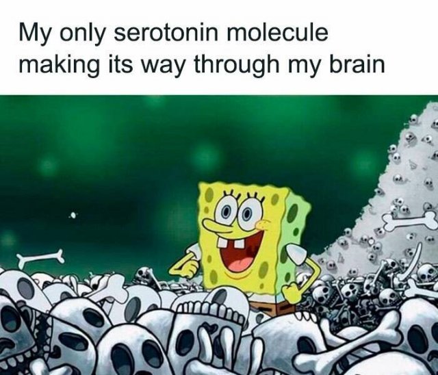 Funny Memes (25 pics)