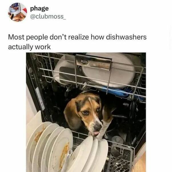 Funny Tweets (18 pics)