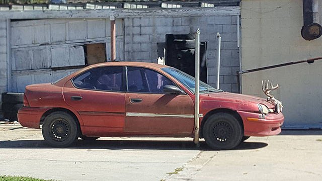 What Is Going On Here? (44 pics)