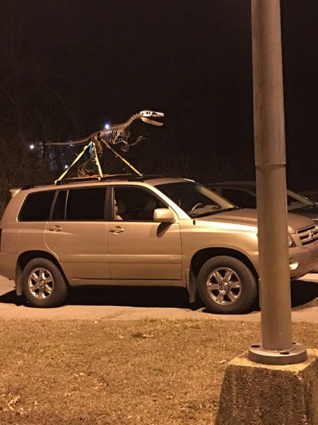 What Is Going On Here? (44 pics)