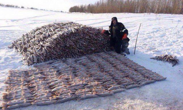 Strange Russians (41 pics)