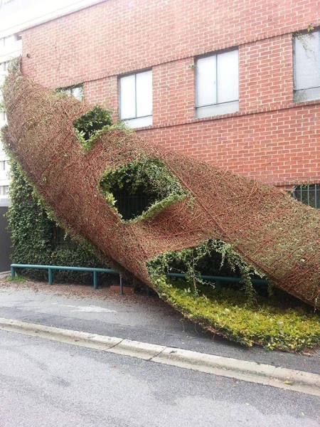What Is Going On Here? (44 pics)