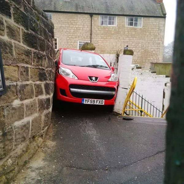 What Is Going On Here? (44 pics)