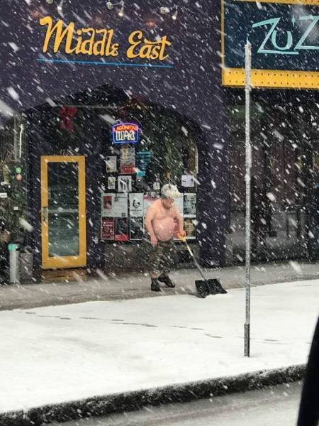 What Is Going On Here? (44 pics)