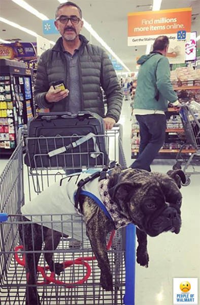 Strange People In Shops (56 pics)
