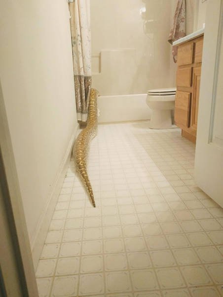 What Is Going On Here? (44 pics)