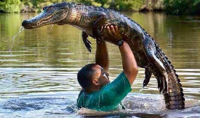 What Is Going On Here? (44 pics)