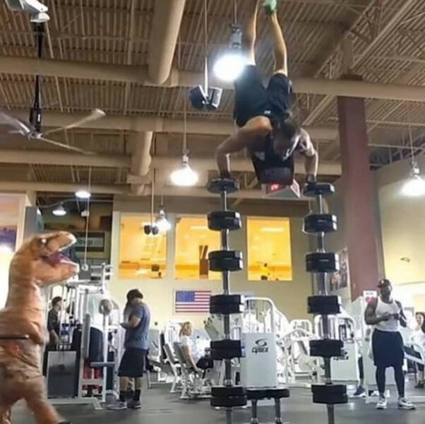 What Is Going On Here? (22 pics)