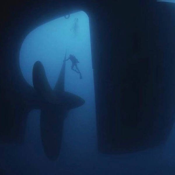 What Is Going On Here? (22 pics)