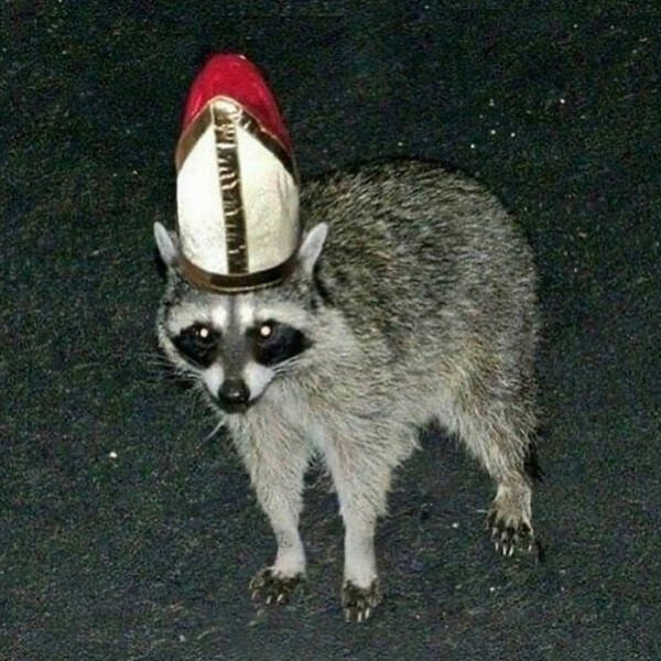 What Is Going On Here? (22 pics)