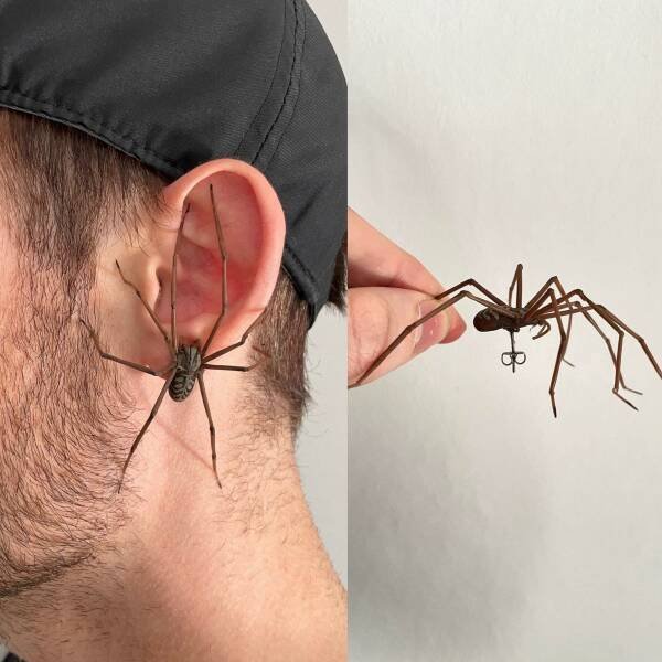 Weird Fashion (31 pics)