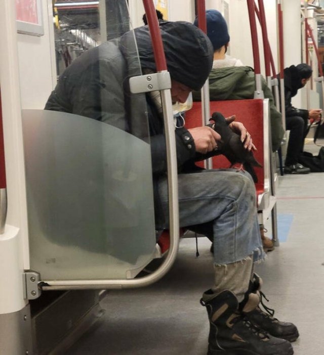 Heartwarming Moments In Photos (23 pics) Heartwarming Moments In Photos (23 pics)