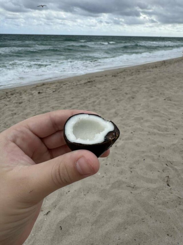 Interested Finds And Discoveries (25 pics)