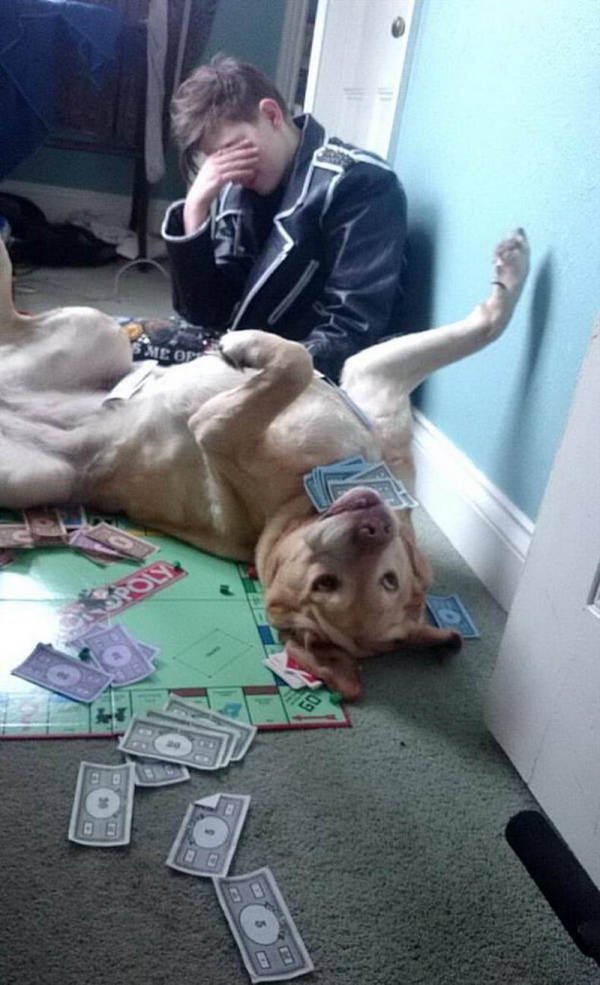 Funny Animals (51 pics)