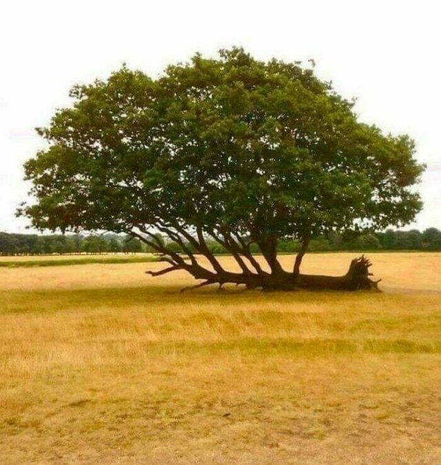 Random Finds From Around The World (19 pics) Random Finds From Around The World (19 pics)