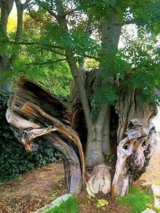 Random Finds From Around The World (19 pics) Random Finds From Around The World (19 pics)