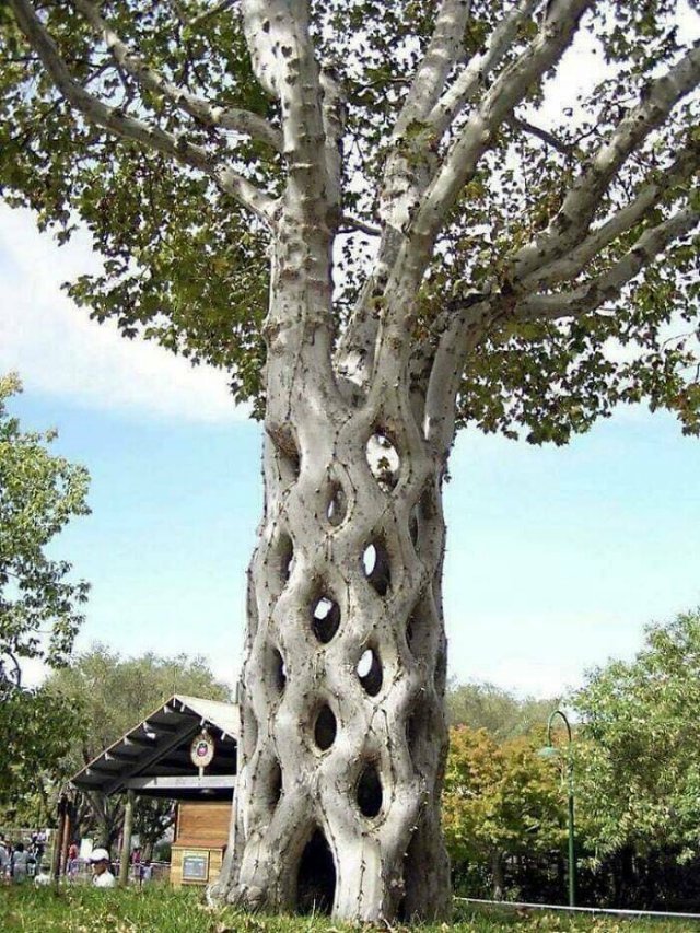 Random Finds From Around The World (19 pics)