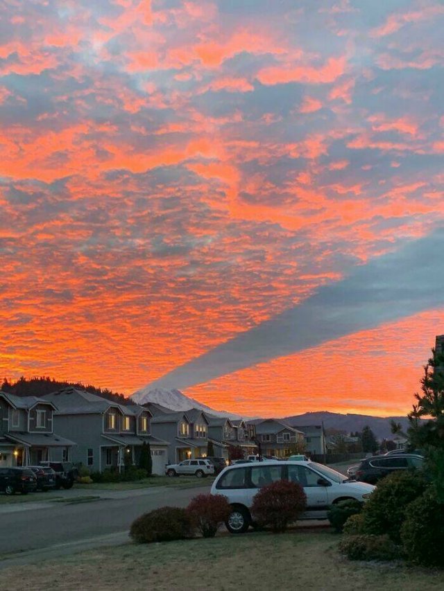 Random Finds From Around The World (19 pics)