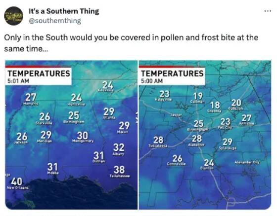 Memes About Southerners (29 pics)