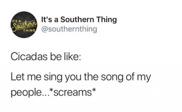 Memes About Southerners (29 pics)