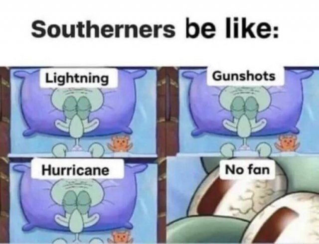 Memes About Southerners (29 pics)