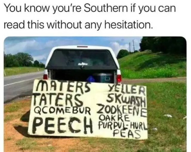 Memes About Southerners (29 pics)
