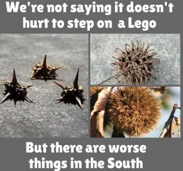 Memes About Southerners (29 pics)