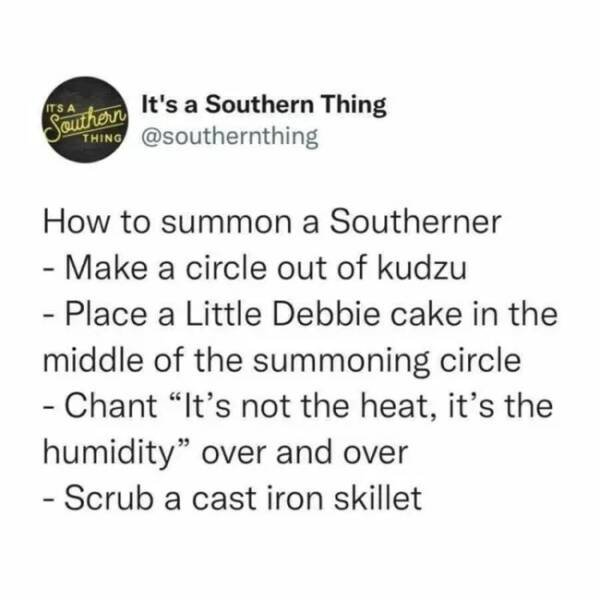 Memes About Southerners (29 pics)