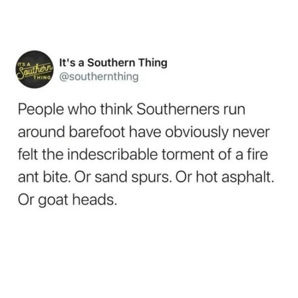Memes About Southerners (29 pics)