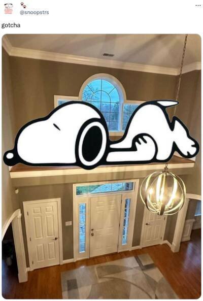 Weird Interior Decorating Tips (24 pics)