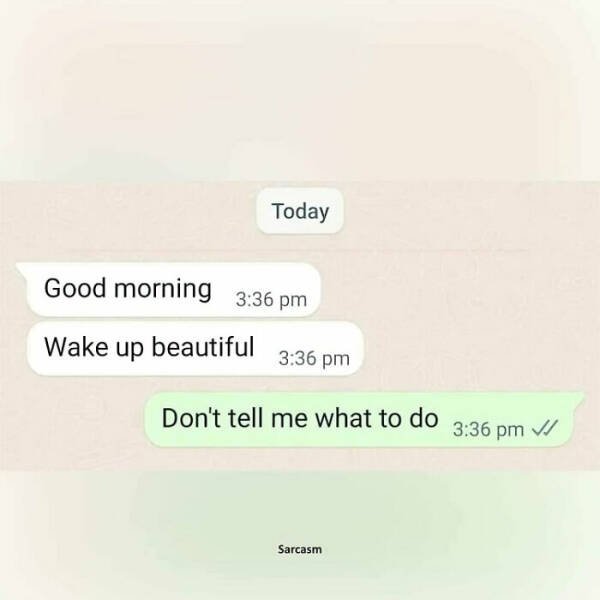 Sarcastic Jokes (25 pics)