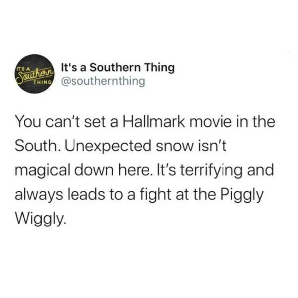 Memes About Southerners (29 pics)