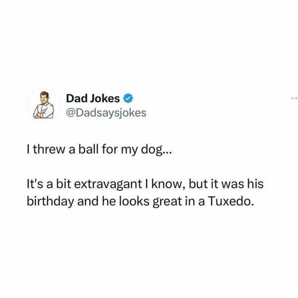 Dads Jokes (25 pics)