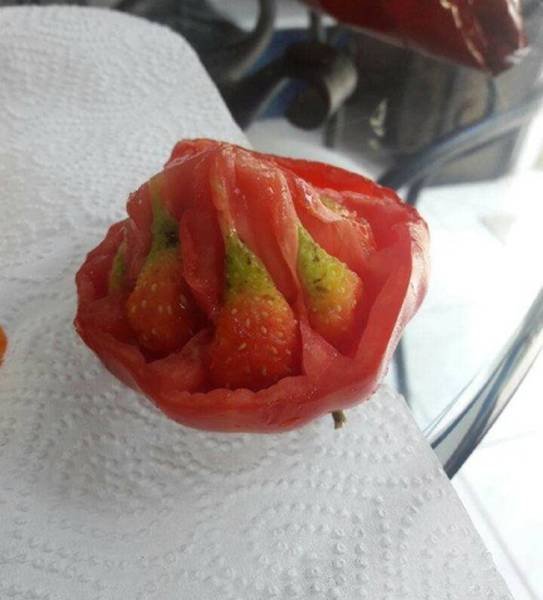 What Is Going On Here? (20 pics) What Is Going On Here? (20 pics)