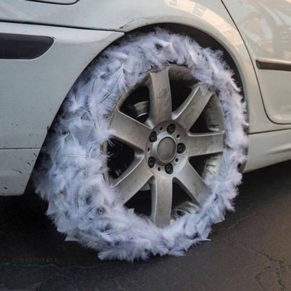 What Is Going On Here? (20 pics) What Is Going On Here? (20 pics)