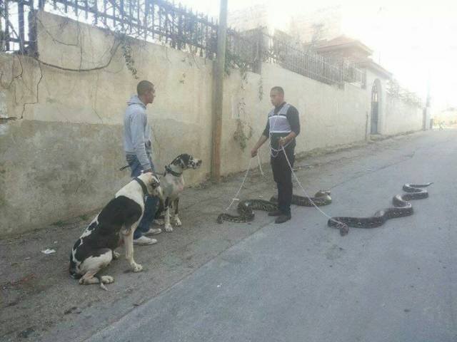 What Is Going On Here? (20 pics)