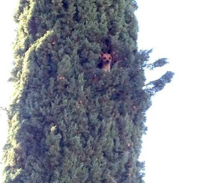 What Is Going On Here? (20 pics) What Is Going On Here? (20 pics)