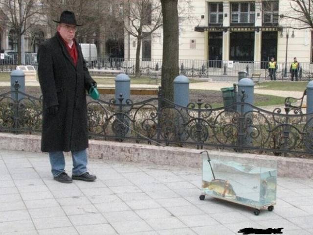 What Is Going On Here? (20 pics) What Is Going On Here? (20 pics)
