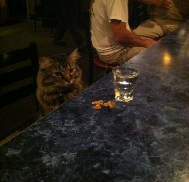 What Is Going On Here? (20 pics) What Is Going On Here? (20 pics)
