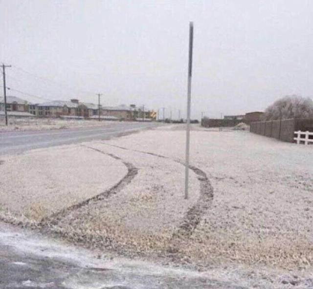 What Is Going On Here? (20 pics) What Is Going On Here? (20 pics)