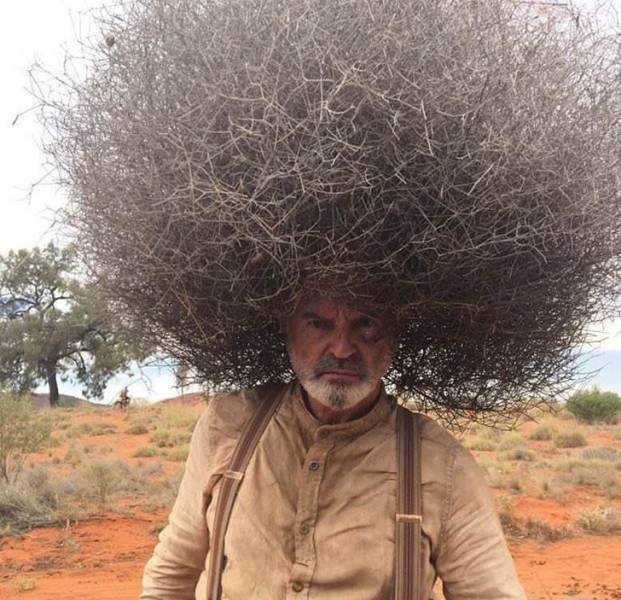 What Is Going On Here? (20 pics) What Is Going On Here? (20 pics)