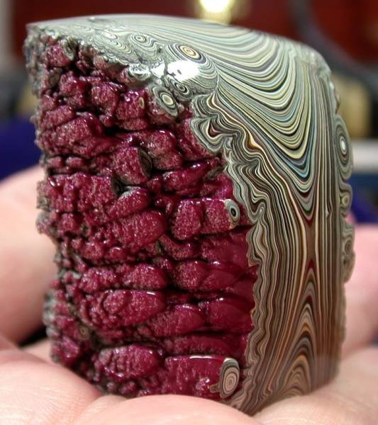 What Is Going On Here? (20 pics) What Is Going On Here? (20 pics)