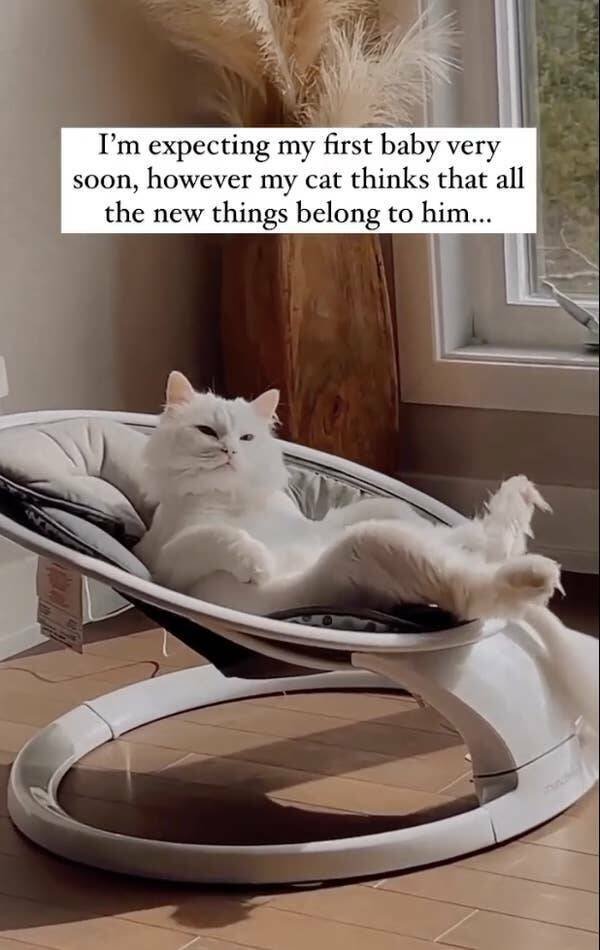 Funny Finds (17 pics)